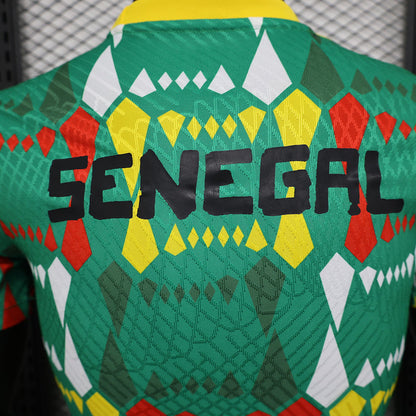 Senegal 2023 - Player Version