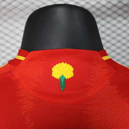 Spain Home 24/25 - Player Version