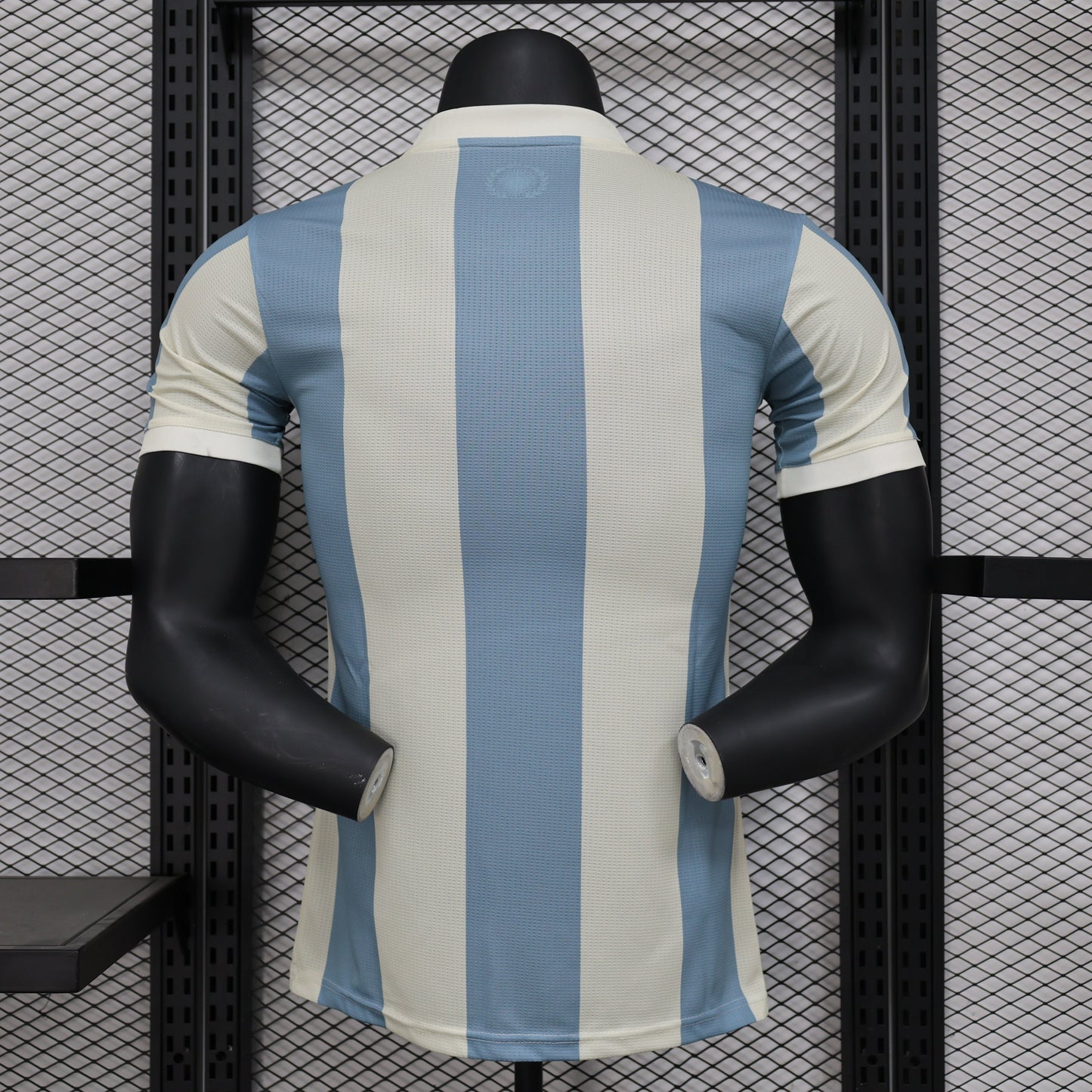 Argentina Special Edition 24/25 - Player Version