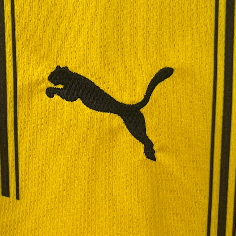 Dortmund Home 24/25